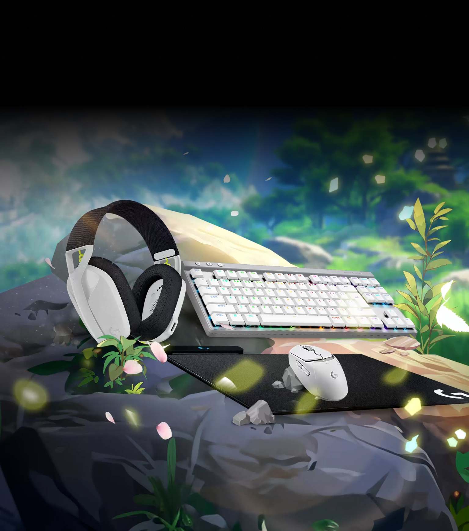 SANDBOX SURVIVAL - G SERIES